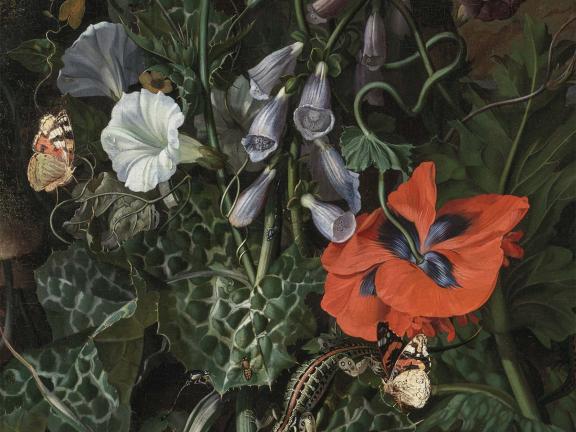Rachel Ruysch, Forest Floor with a Classical Facade Beyond (detail), about 1687.